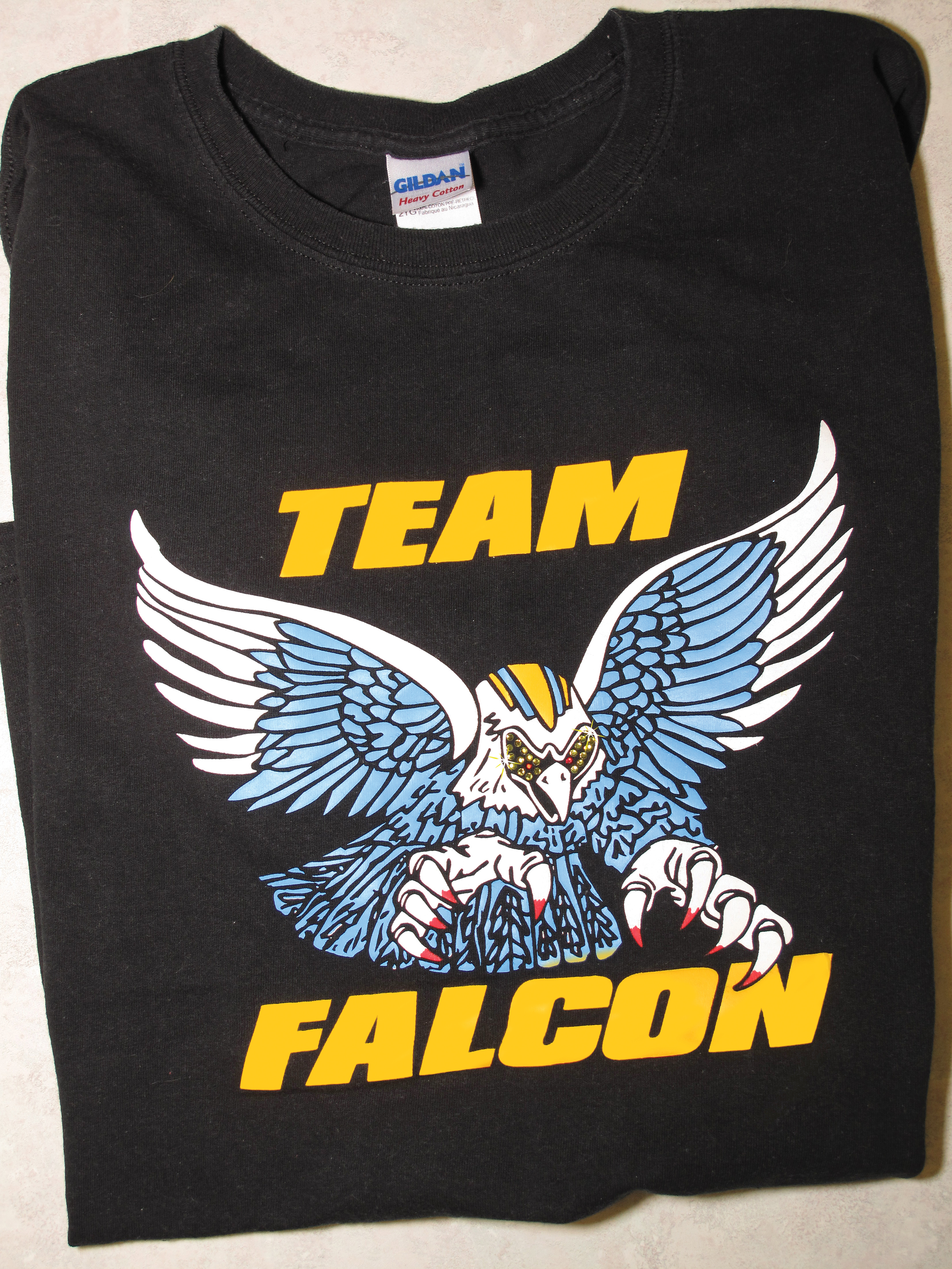 team_falcon_example